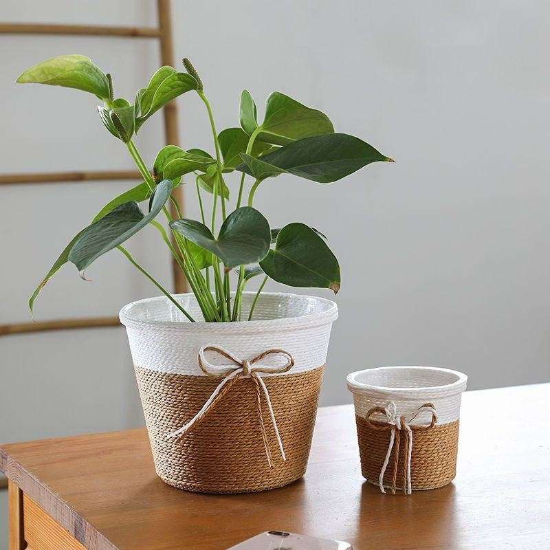 Kit de Vasos Decorativos de Mesa Mini para Plantas Naturais ou Artificiais