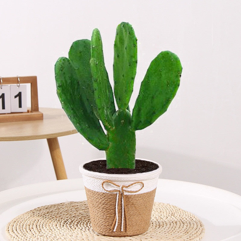 Kit de Vasos Decorativos de Mesa Mini para Plantas Naturais ou Artificiais